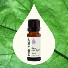 Balm Mint Bush Essential Oil