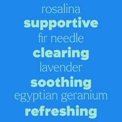 Sneezy Stop Essential Oil