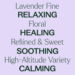 Lavender Fine Essential Oil