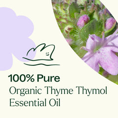 Organic Thyme Thymol Essential Oil