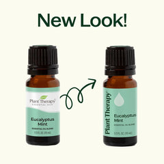 Eucalyptus Mint Essential Oil Blend