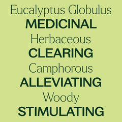 Eucalyptus Globulus Essential Oil