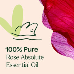 Rose Pure Absolute Essential Oil