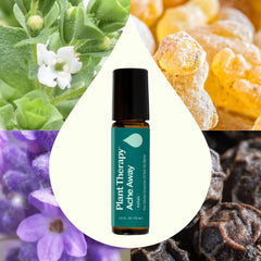 Ache Away Pre-Diluted Essential Oil Roll-On