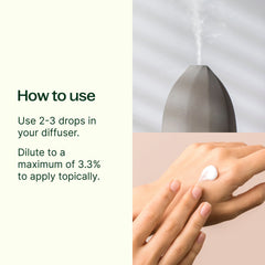 Organic Basil Linalool Essential Oil