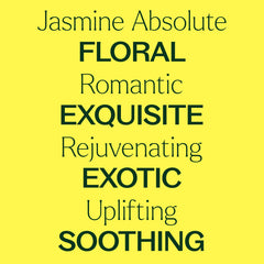 Jasmine Sambac Pure Absolute