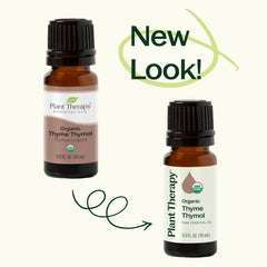 Organic Thyme Thymol Essential Oil