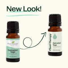 Dalmatian Sage Essential Oil